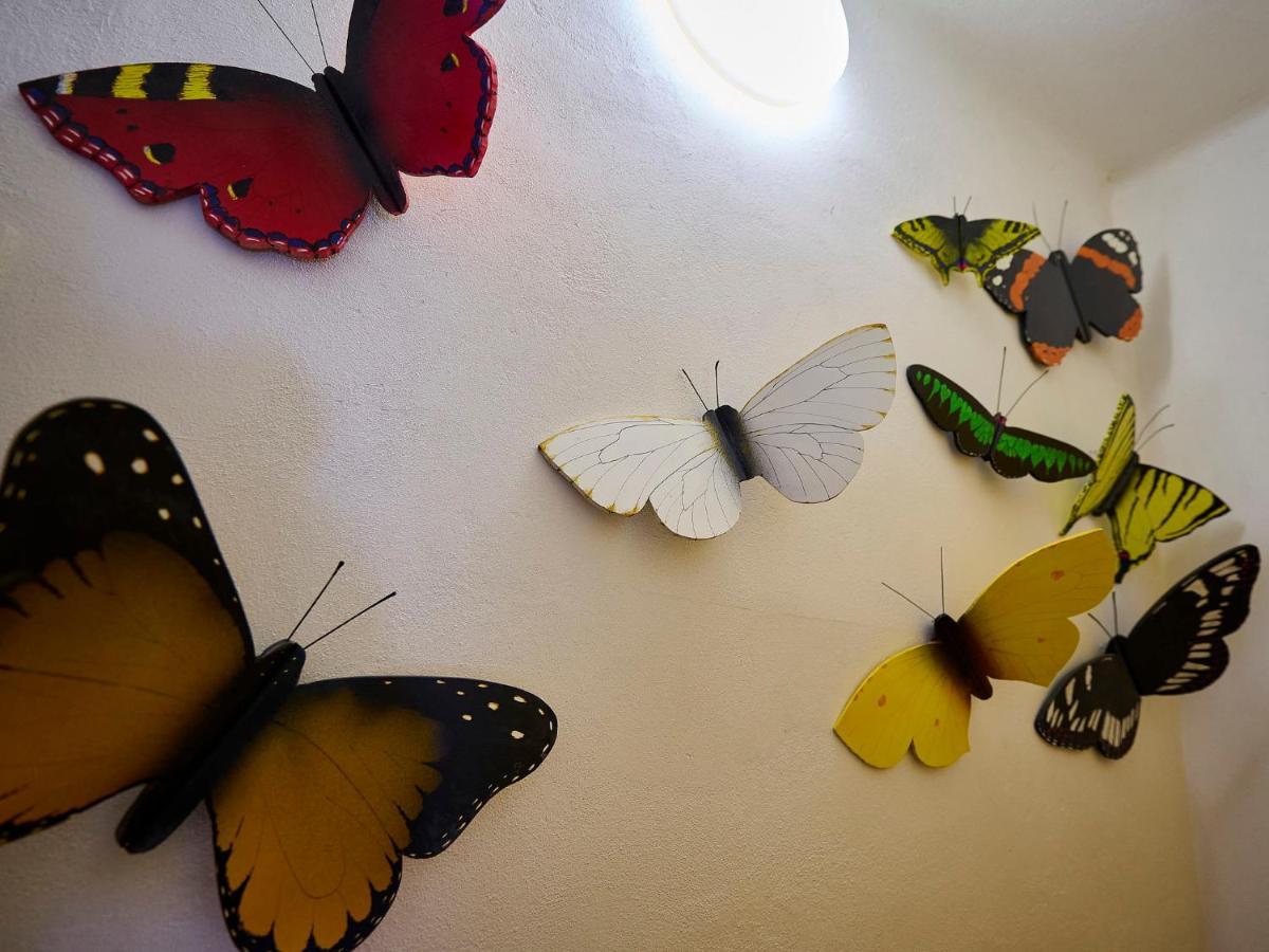 Holiday Home Zlata Olesnice By Interhome エクステリア 写真